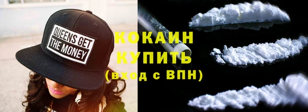 стафф Алексин