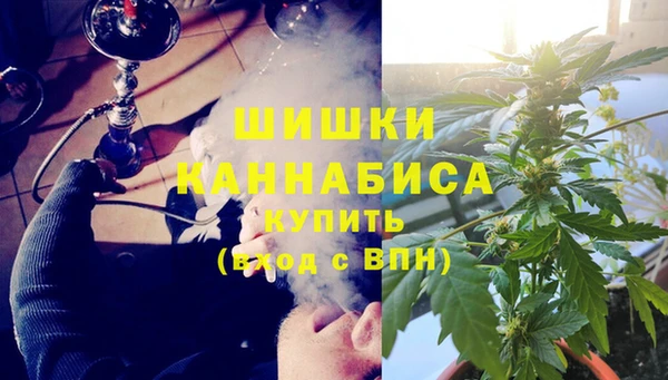 прущие крисы Алзамай