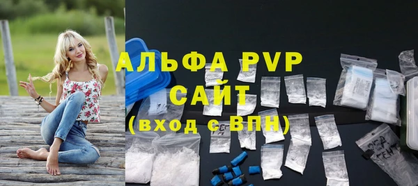 стафф Алексин
